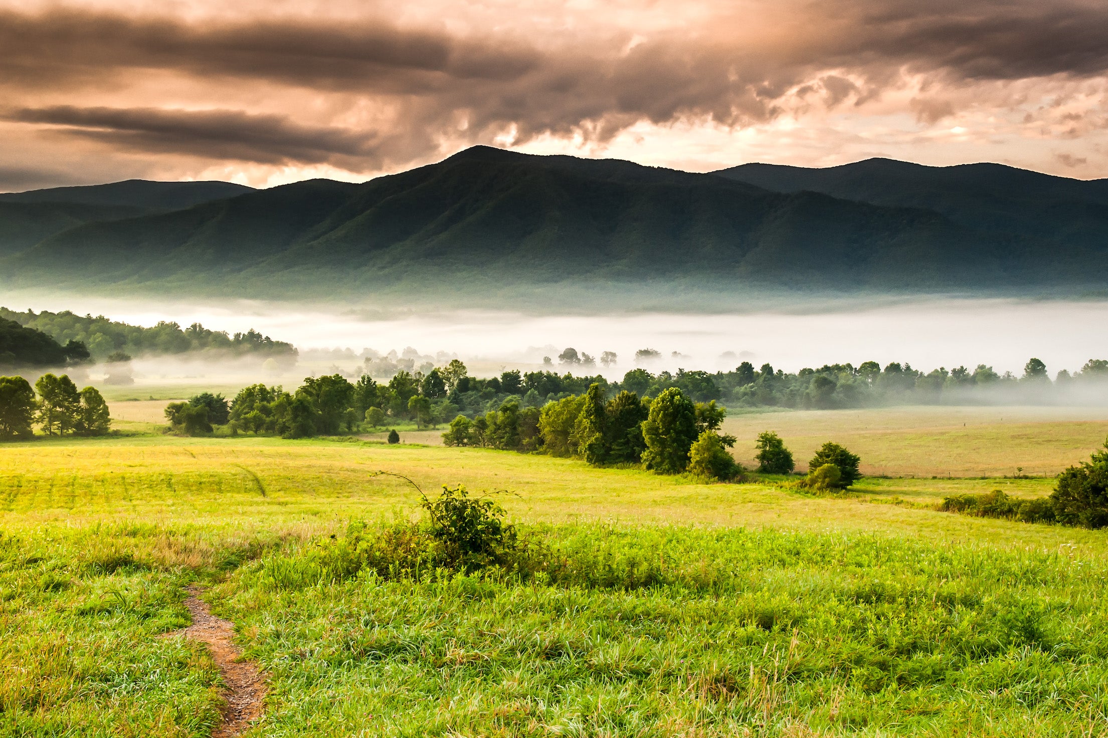 Cades Cove Gallery