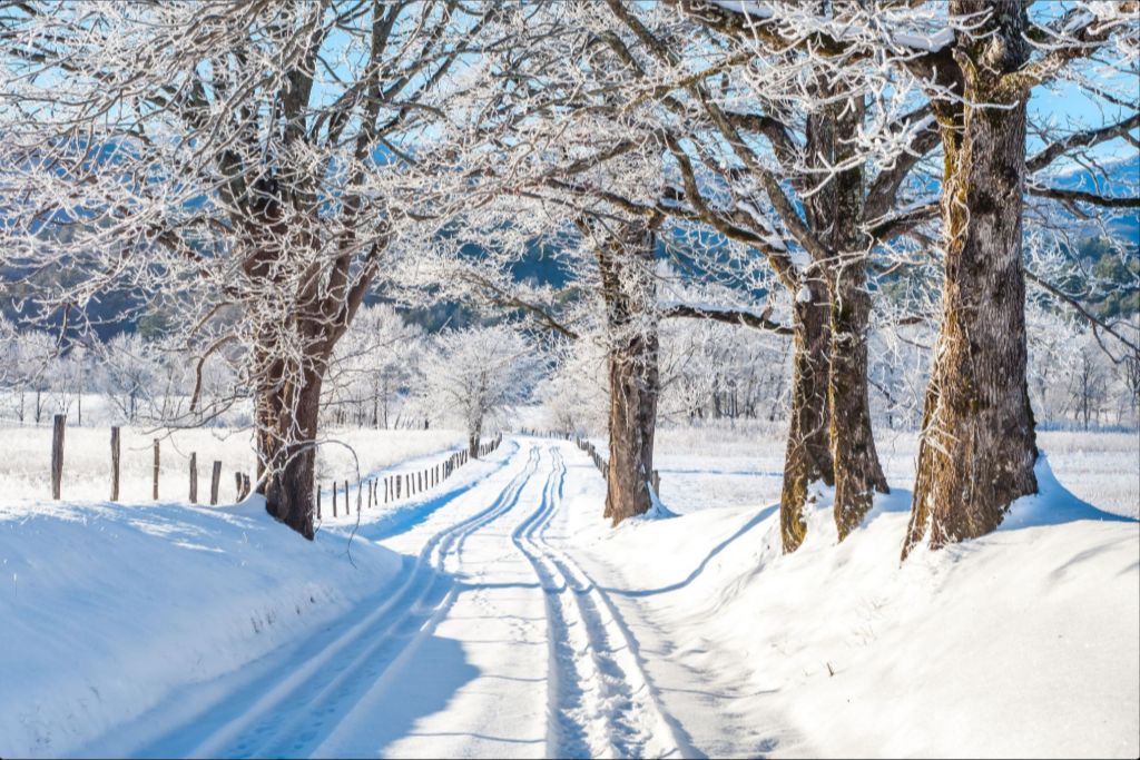 Hyatt Lane Deep Freeze