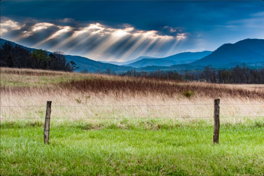 Cades Cove Sunbeams