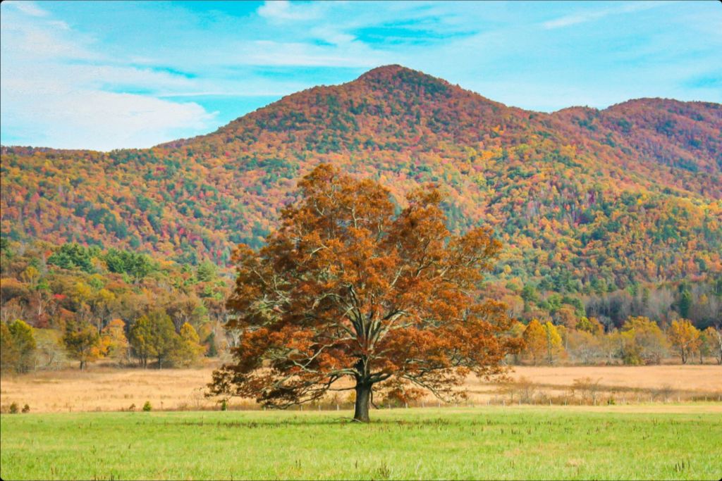 The Old Champion in Autumn