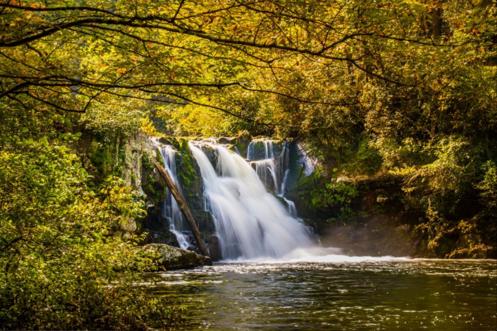 Abrams Falls 2