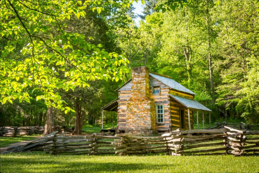 John Oliver Cabin in Summer