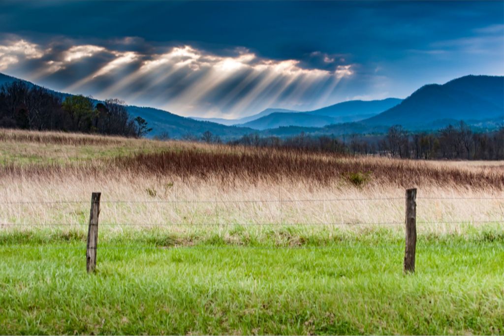 Cades Cove Sunbeams