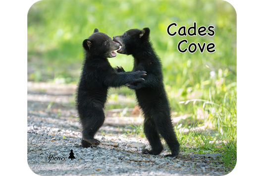 Cades Cove Mouse Pad