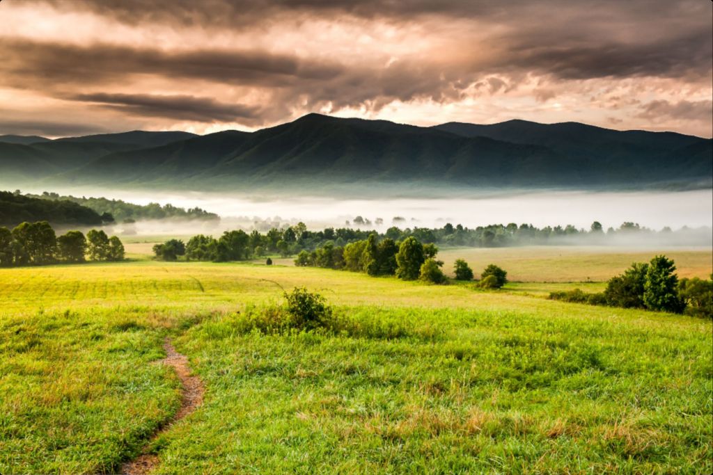 The Meadow Pathway