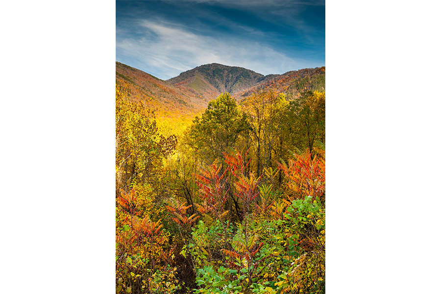 Mt. Leconte in Autumn