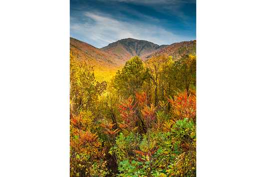 Mt. Leconte in Autumn