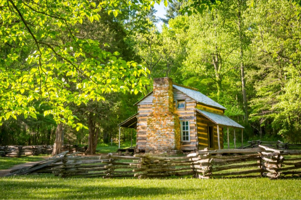 John Oliver Cabin in Summer