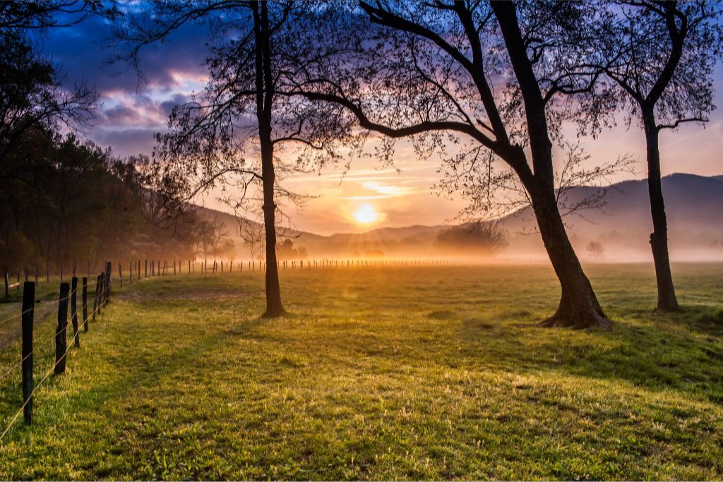 Sparks Lane Sunrise