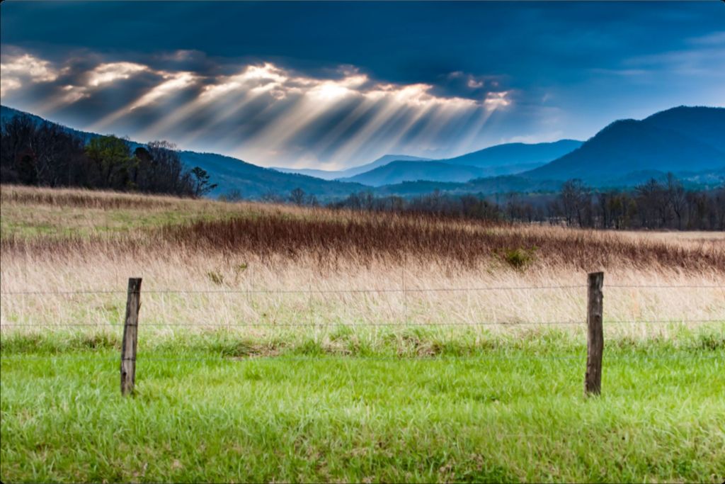 Cades Cove Sunbeams