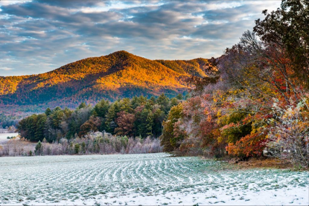 Rich Mountain Autumn Snow