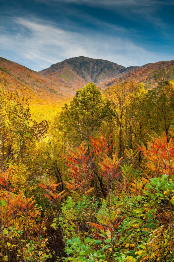 Mt. Leconte in Autumn