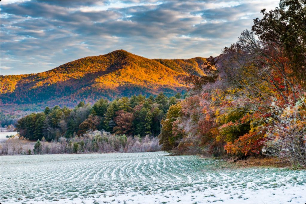 Rich Mountain Autumn Snow