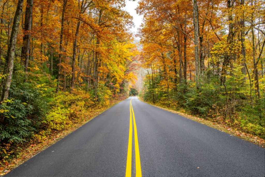 The Autumn Road