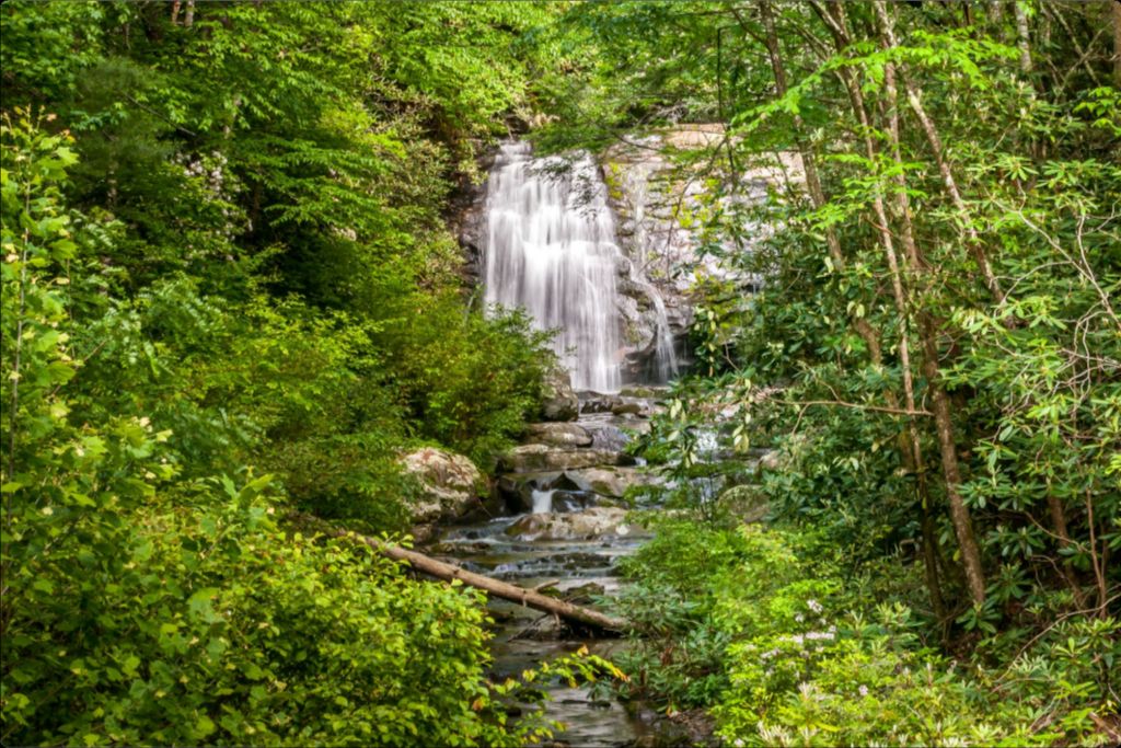 Meigs Falls