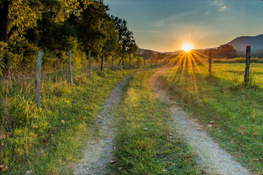 Cades Cove Sunrise