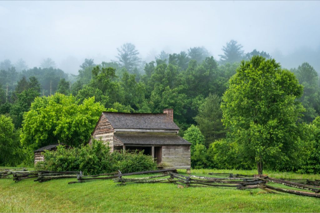 Dan Lawson Cabin in the Morning Fog