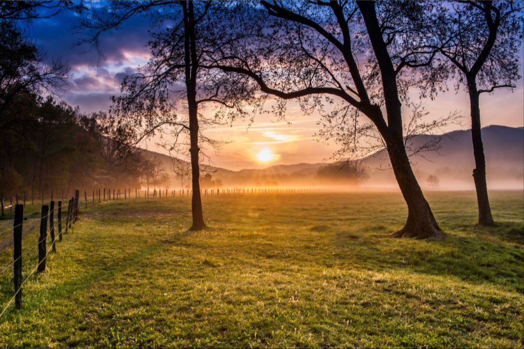 Sparks Lane Sunrise