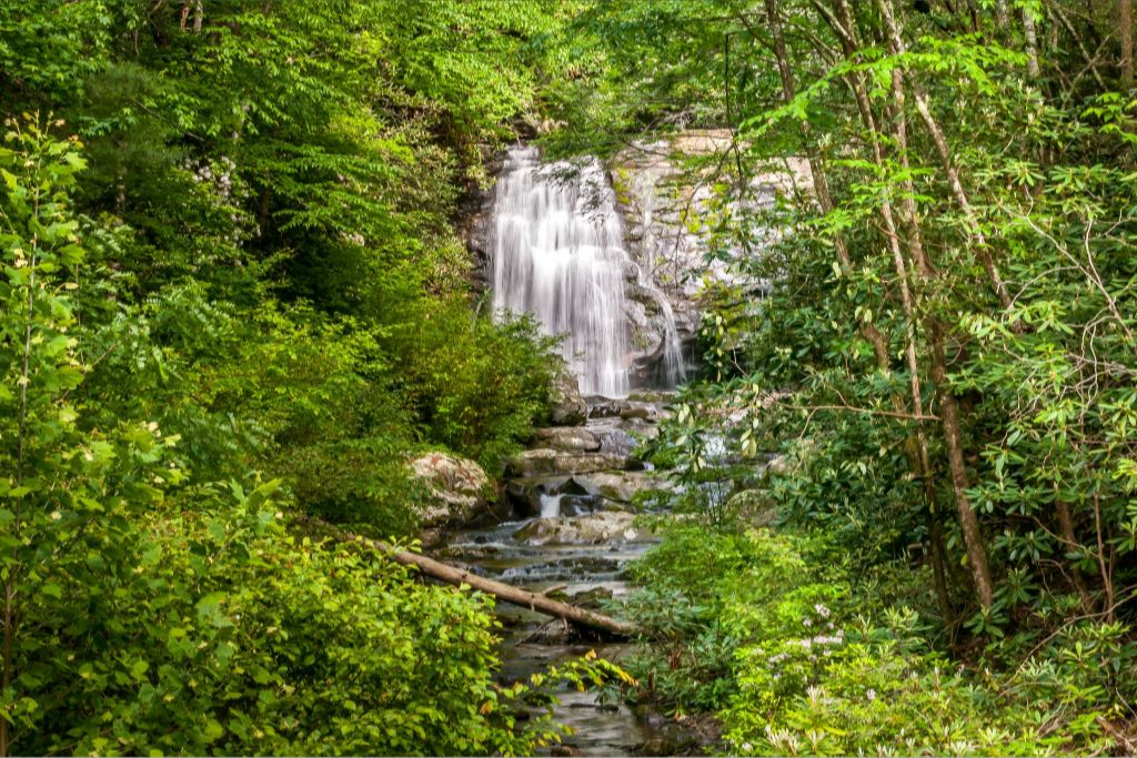 Meigs Falls