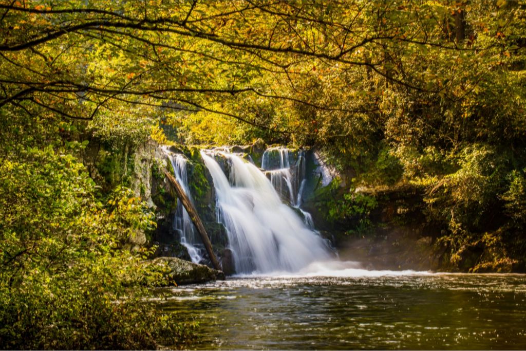 Abrams Falls 2