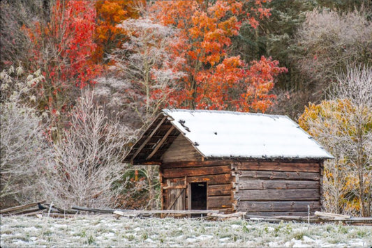 Corn Crib with Snow, Cades Cove