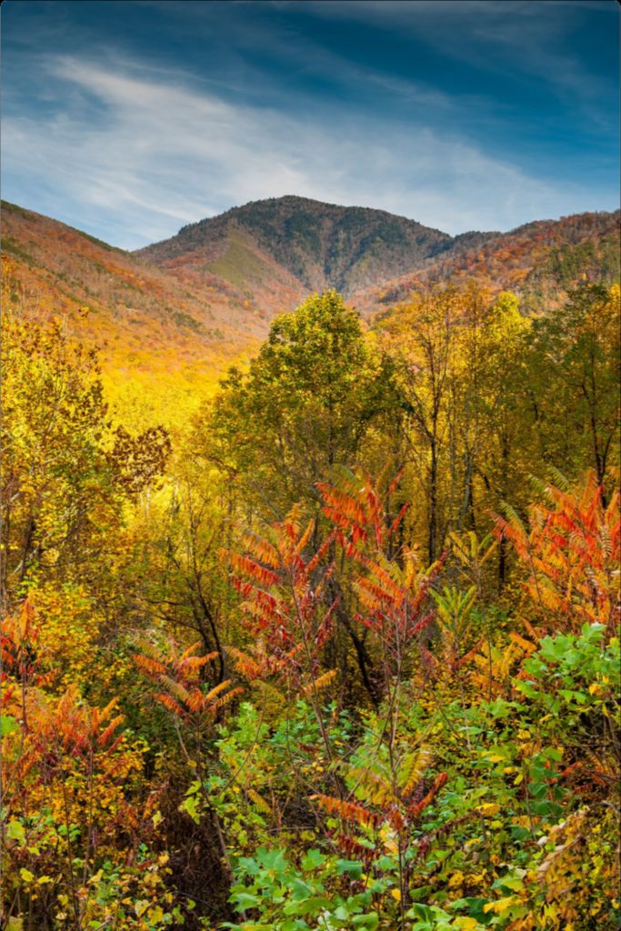 Mt. Leconte in Autumn