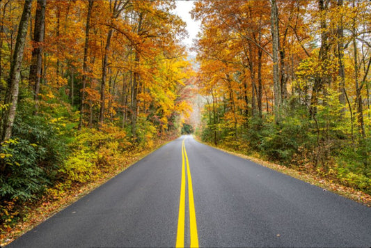 The Autumn Road