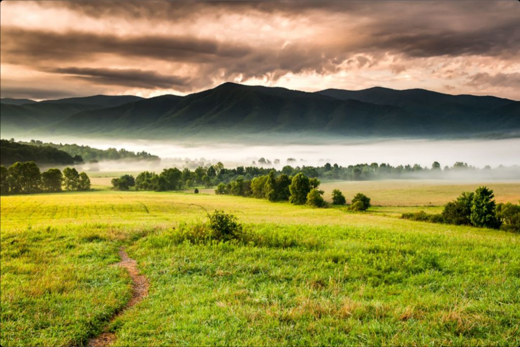 The Meadow Pathway