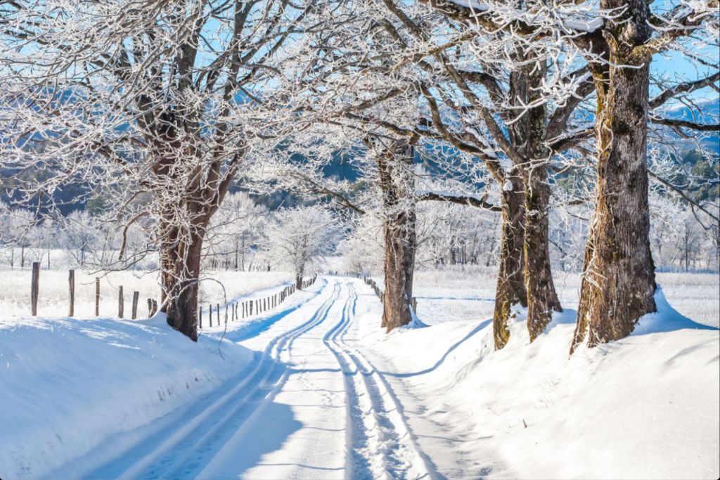 Hyatt Lane Deep Freeze