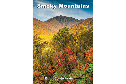 Mt. Leconte in Autumn - Great Smoky Mountains Magnet
